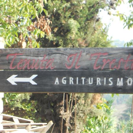 Tenuta Il Tresto Poggibonsi Exterior foto